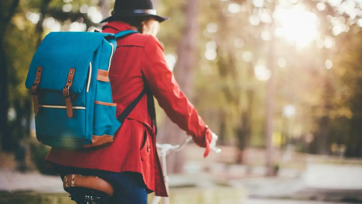 5 Ways to Carry Groceries on a Bike: Pros, Cons, Best Options - Cycle ...