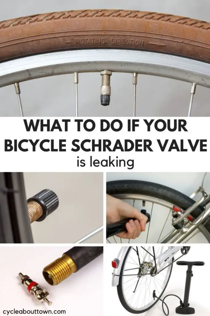 What To Do If Your Bicycle Schrader Valve Is Leaking – Cycle About Town